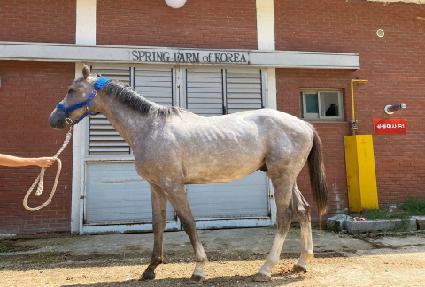 ������ ����