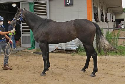 ������Ű ����