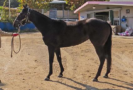 ���������� ����