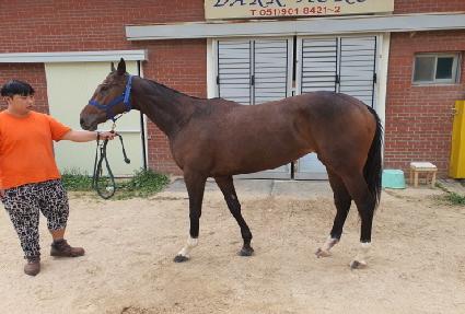 �ε���� ����