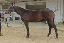 ��Ű���� (LUCKY JEONSA) ����