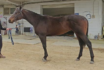 ��Ű���� ����