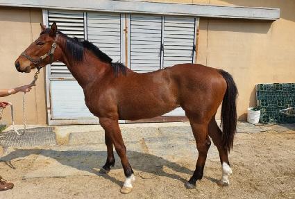 ����ī�� ����