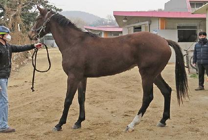 ����Ƽ ����