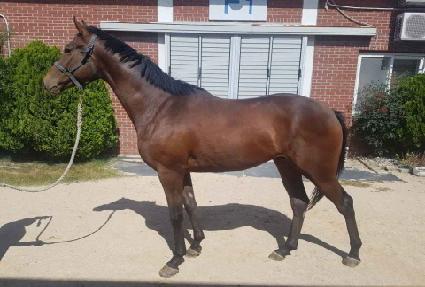 ��ٸ��ְ� ����