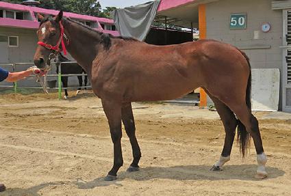 ��ƿ���м� ����