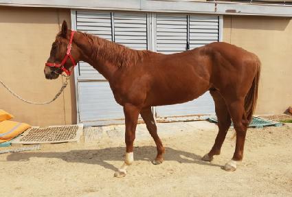 �����м� ����