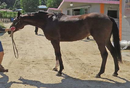 ���Ͻô� ����