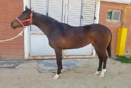 ��ΰ��� ����