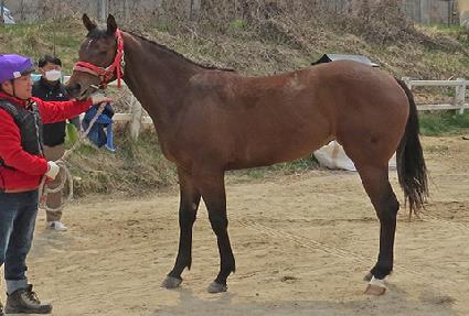 �縸��ġŸ ����