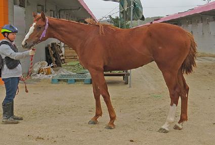 ��Ű���� ����