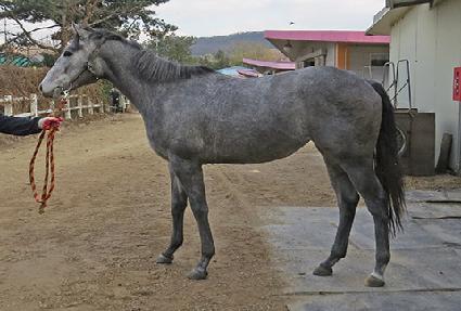 �Һ���Ͼ� ����