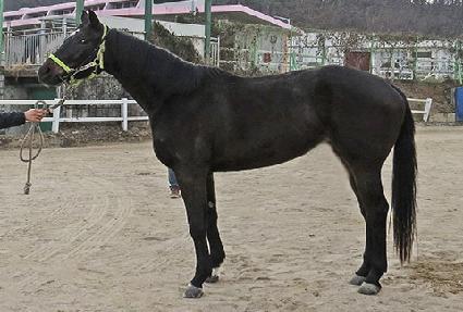 ����Ÿ�̵� ����