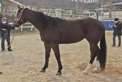 ����� ����