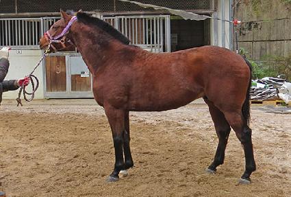 ��Ʈ�� ����