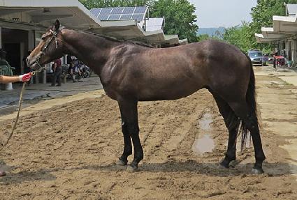 ��󺸸��� ����