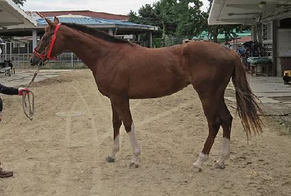 �ݱ�ȭ ����