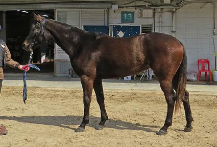 �׸��ְ� ����