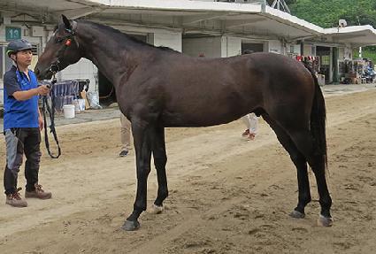 ��ٸ��屺 ����