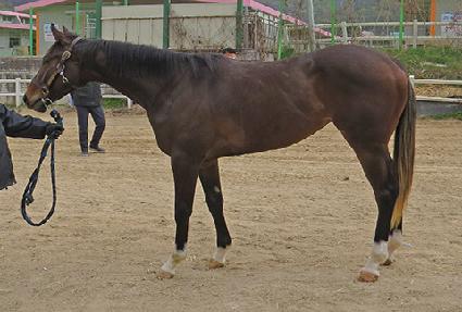 û����Ű�� ����