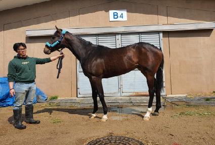 �ͽ������̵� ����