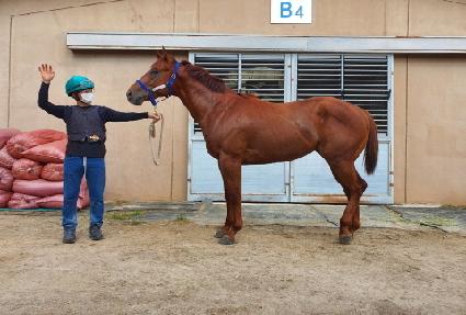 ���Ÿ�̰� ����