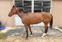 ���̶ߴ� (DARI TTEUNI) ����