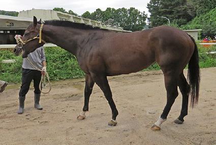 Ȳ�ݴ޺� ����