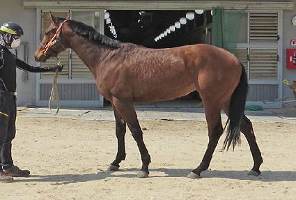 ��Ʈ���ǵ� ����