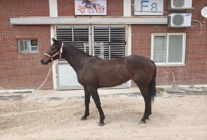 ��ŸƼ�� ����