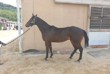 �̶�Ŭ�� ����