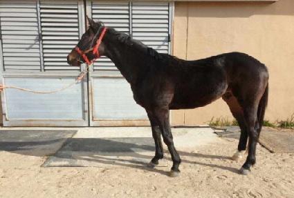 ���Ǽ����� ����