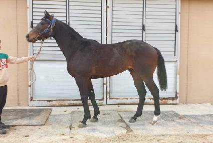 ����Ǯŷ ����