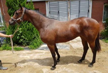 �ִ�Űư ����