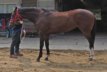 �����̷ε� ����