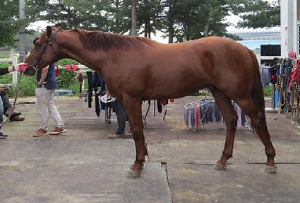 ����� ����