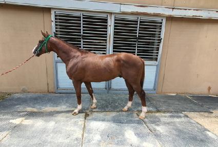 �������� ����