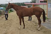 ����÷��� (MORNING FLASH) ����