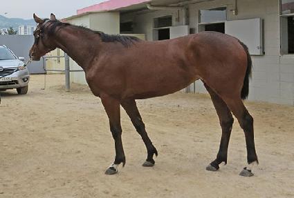 ��ũ�ص���� ����