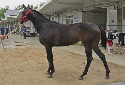 ��ħ�Լ� ����