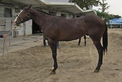 �������� ����