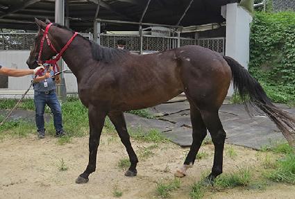 �������� ����