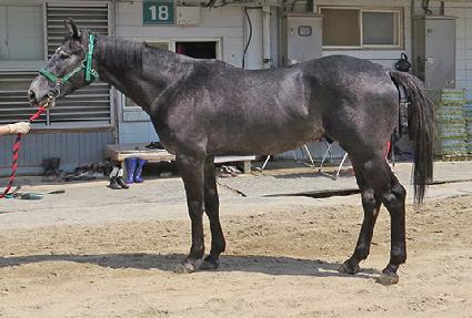 ���������� ����