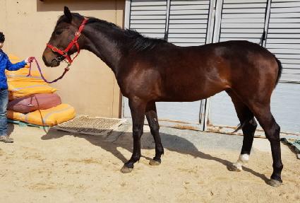 �ι��� ����