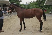 ��ü���͹��� (WINCHESTER MUSIC) ����