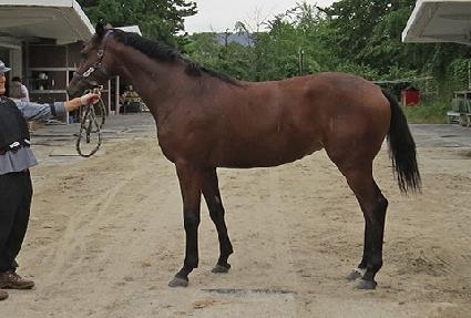 ��ü���͹��� ����