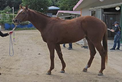 ��ũ������ ����