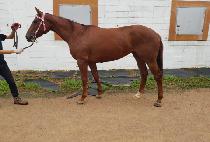 ��ġī�캸�� (RICH COWBOY) ����