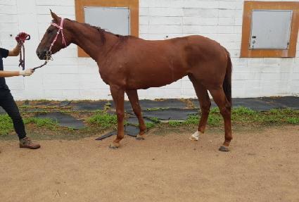 ��ġī�캸�� ����