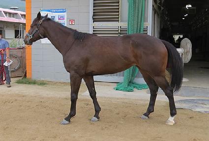 �÷����� ����